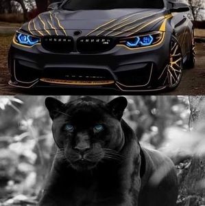 Meet your Posher, Eva